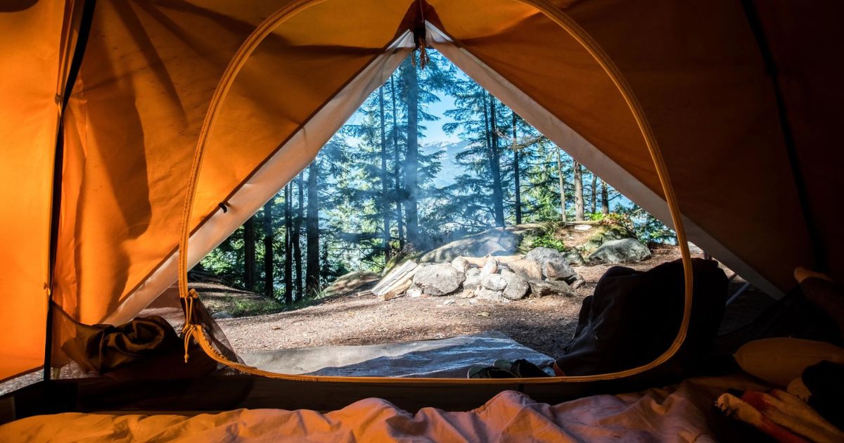 tent view of forest while camping