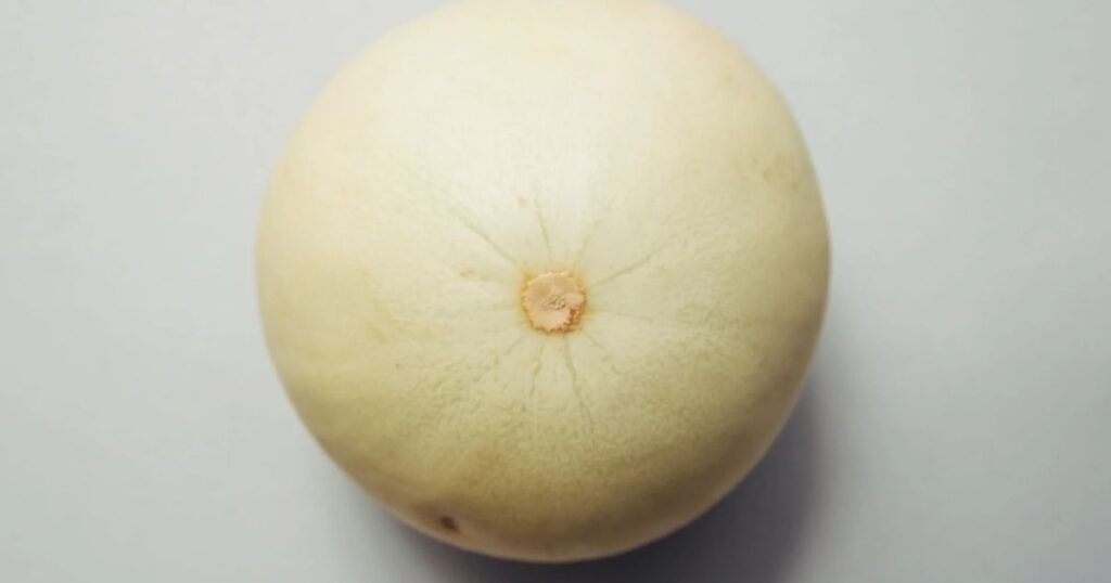 melon
