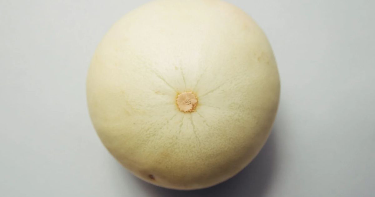 melon
