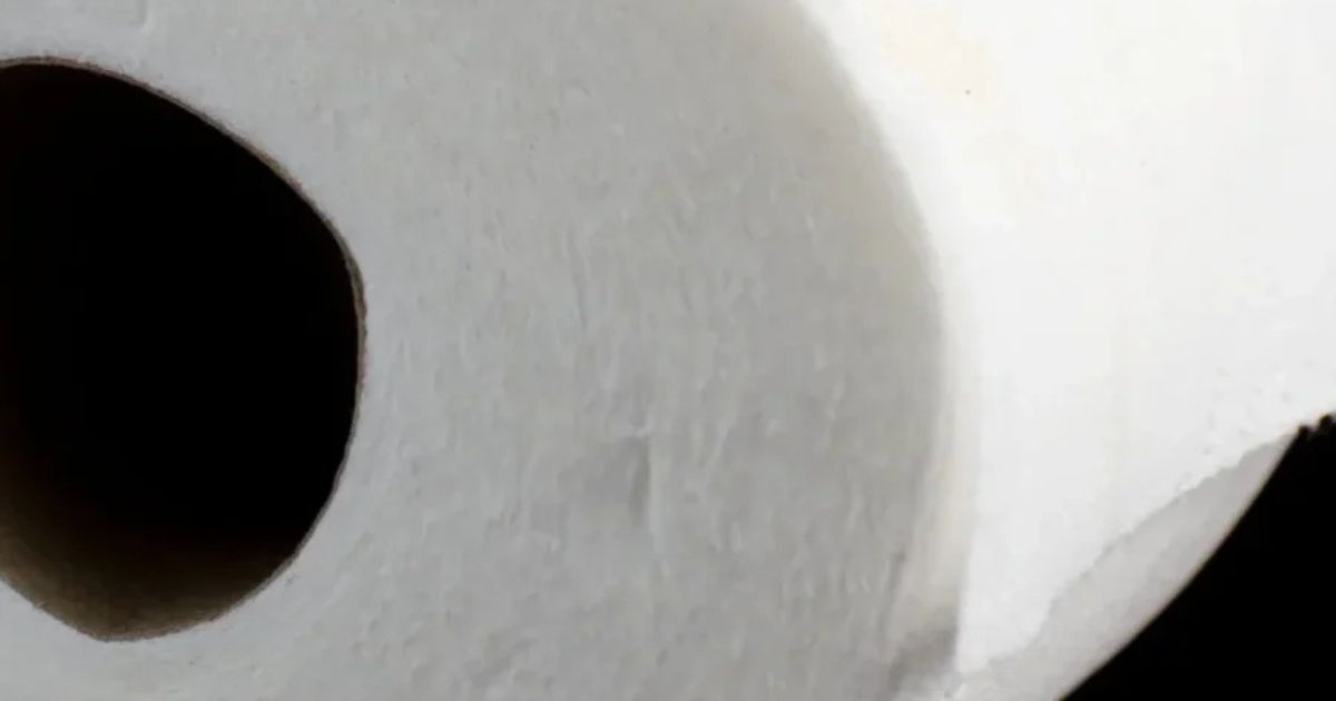 toilet paper roll